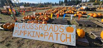 Crossroads Pumpkin Patch