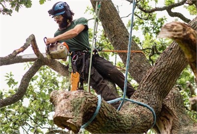 Essential Fall Home Improvements for those near JBLM: Protect Your Property