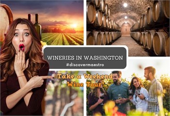 Explore Washington's Premier Wineries and Wine Tours