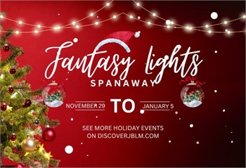 Experience the Magic: 2024 Fantasy Lights at Spanaway Park in Washington